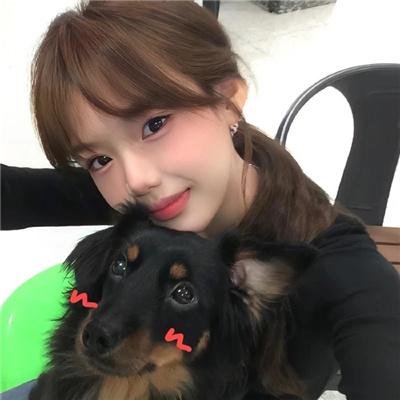 夜樱四重奏 花之歌